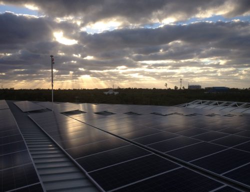 Cayman International School’s Arts and Recreation Center Now Boasts Largest Rooftop Solar System in Cayman